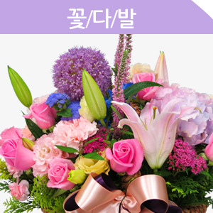 ������ ī�װ��� #1