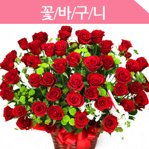 ������ ī�װ��� #2