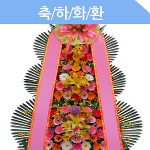 ������ ī�װ��� #5