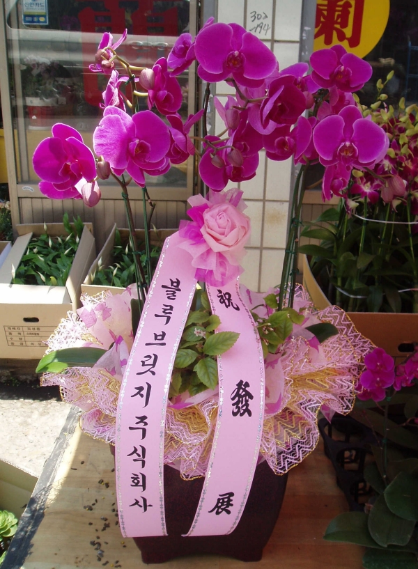 긴()