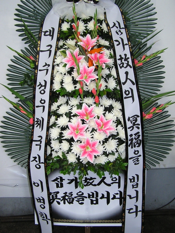 뱸ü