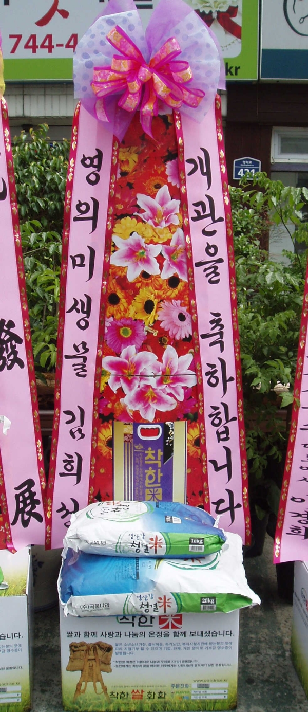 񼱴