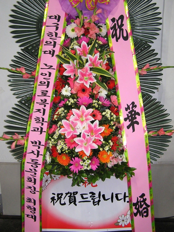 뱸Ǵ