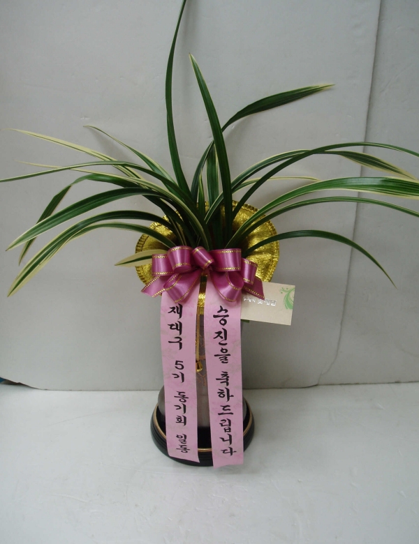 뱸 5