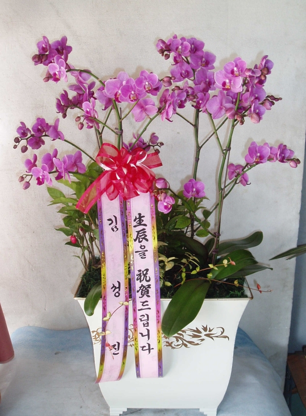 輺