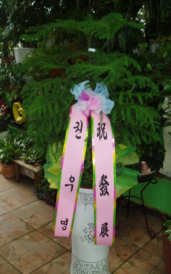 ǿ쿵