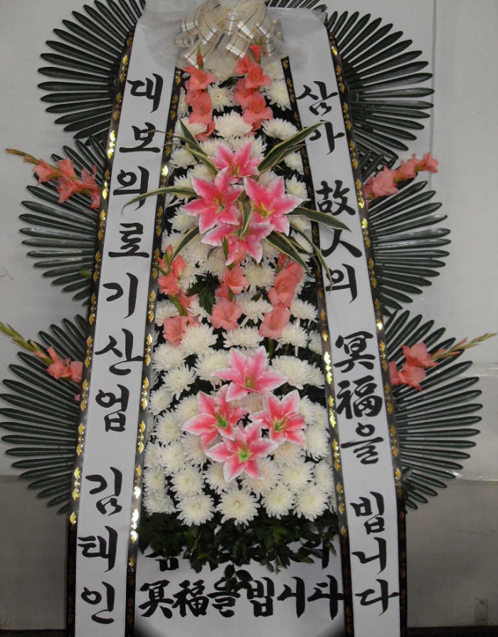 뺸Ƿ