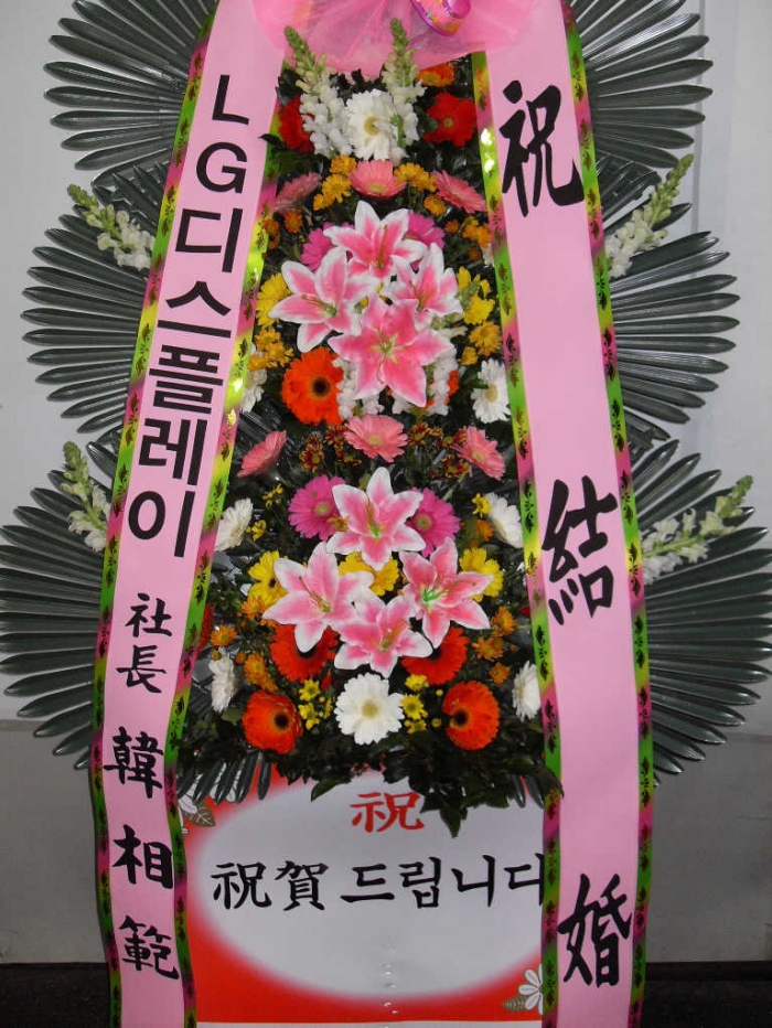 LG÷