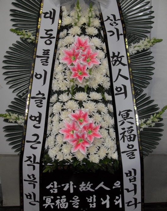 뵿Ǯ̽