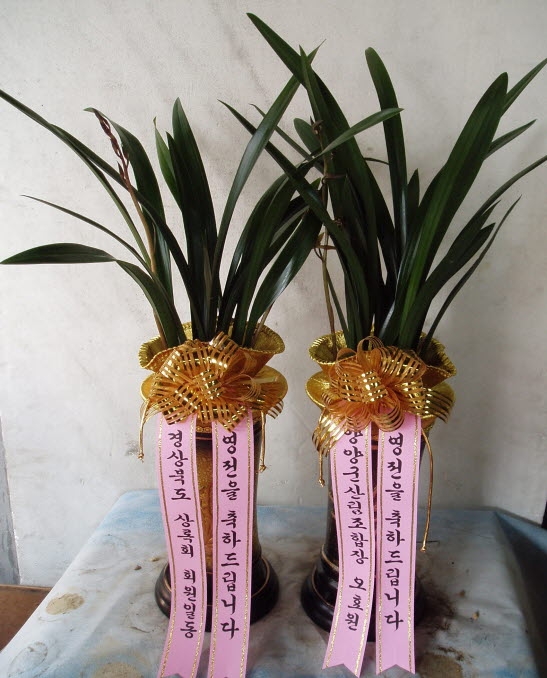 긲