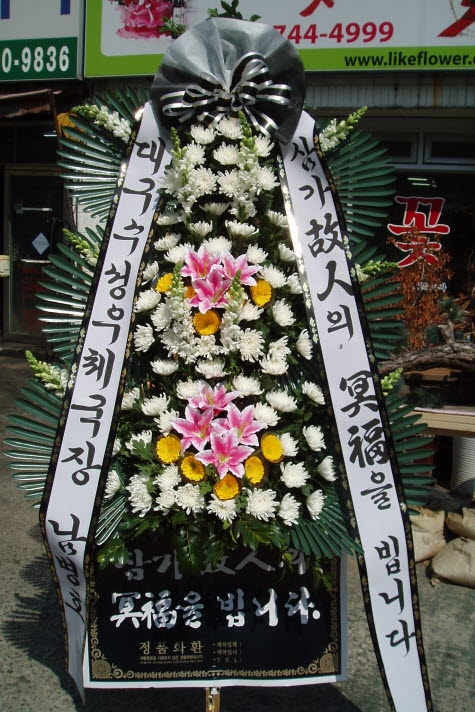 뱸ü