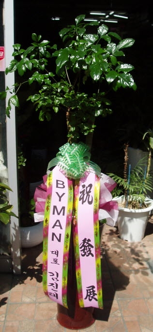 BYMAN