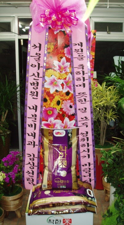 ƻ꺴