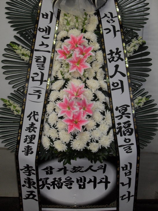 񿣽ƿ()