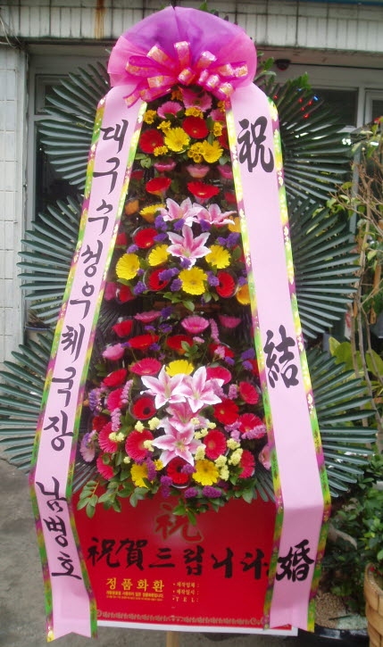 뱸ü