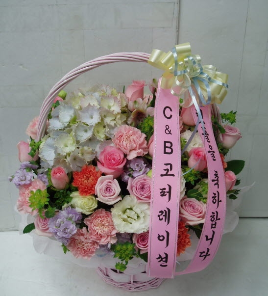 C&B.±޵Į