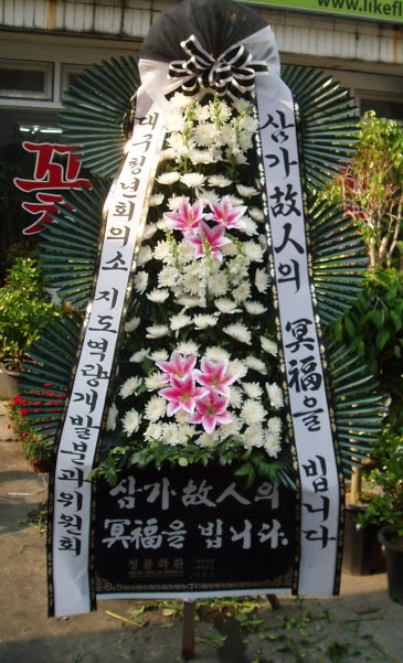 뱸JCа