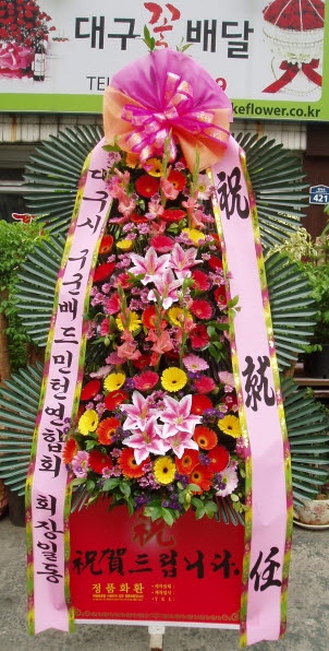 뱸 Ͽȸ