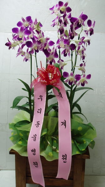 츮