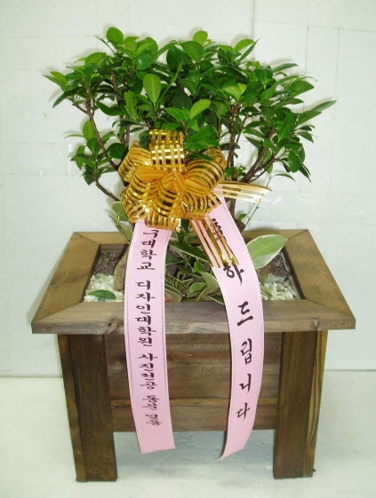 뱸б