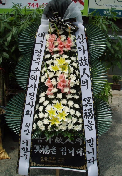 뱸ϼػ