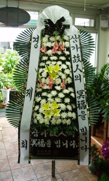 ȸ