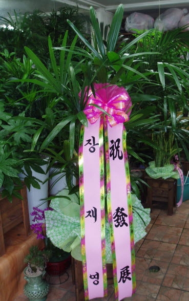 翵