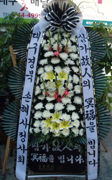 뱸 ػȸ
