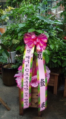  뱸FC