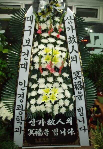 뱸Ǵ