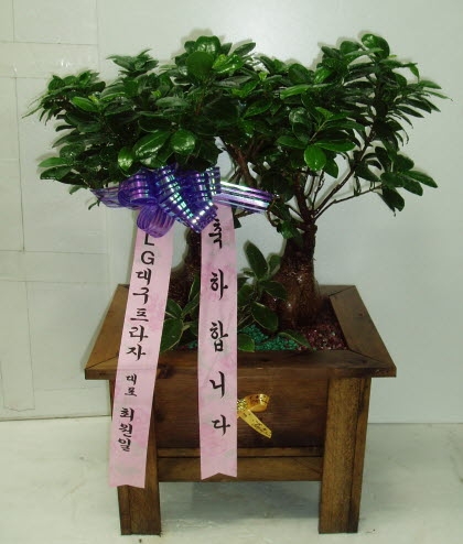 LG뱸