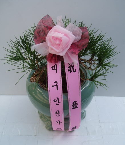 뱸