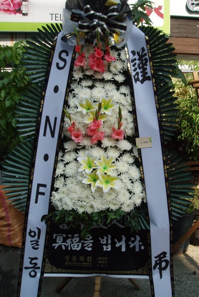 S.N.Fϵ