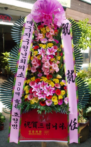 뱸ûȸǼ 30