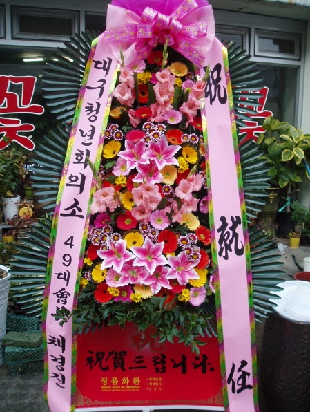 뱸ûȸǼ