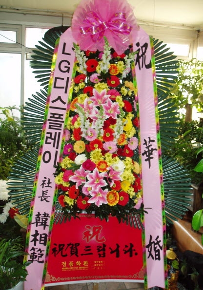 LG÷