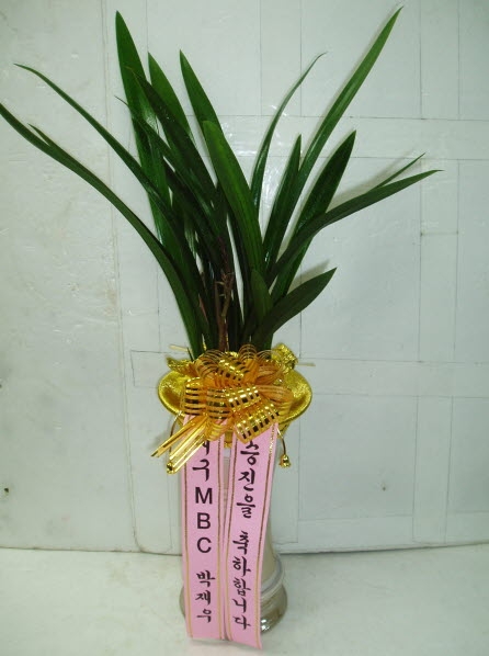 뱸MBC