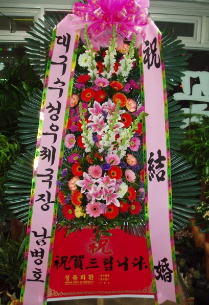 뱸ü