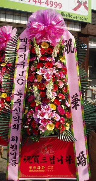 뱸JCȸ