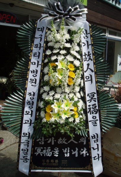 뱸Ƽ