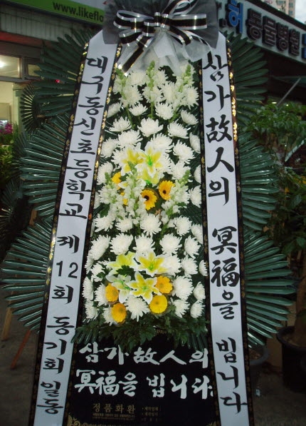 뱸ʵ