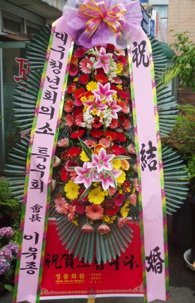 뱸ûȸǼ