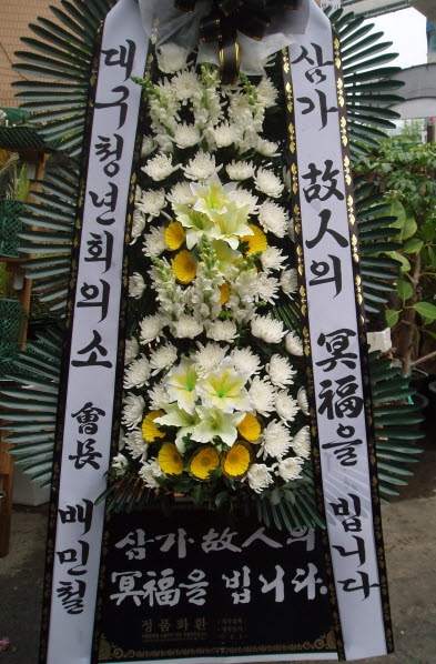뱸ûȸǼ 