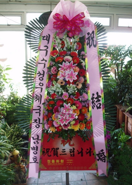 뱸ü
