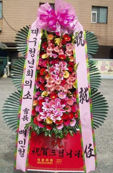 뱸ûȸǼ