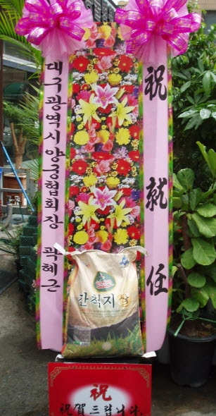 뱸  ȸ