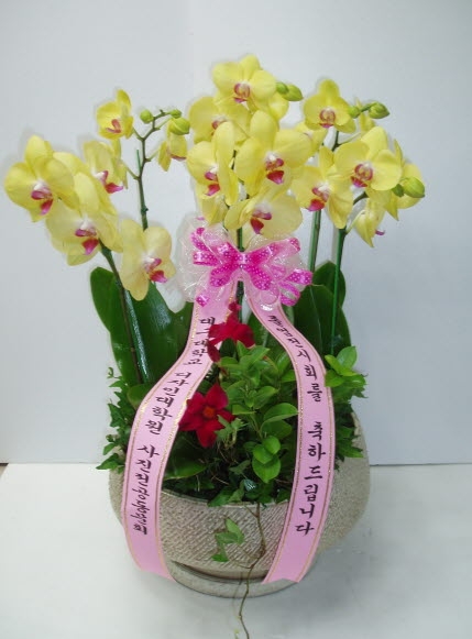 뱸б
