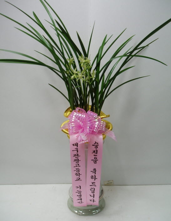뱸