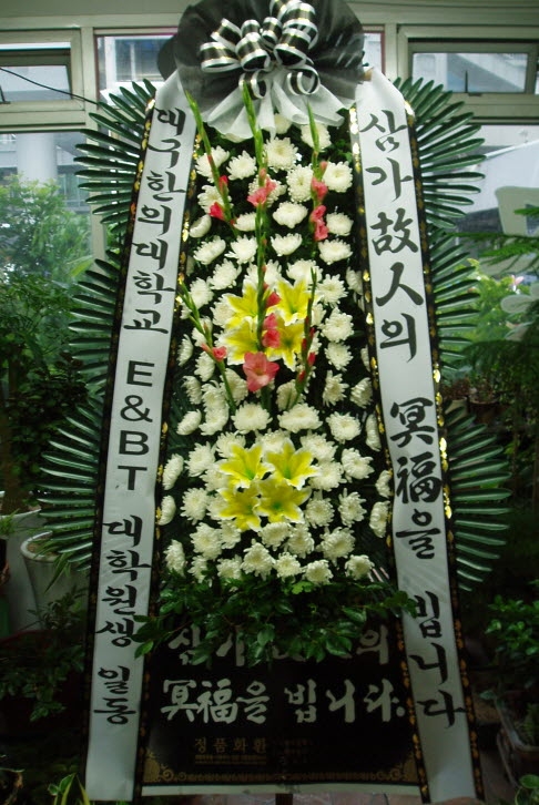뱸Ǵб