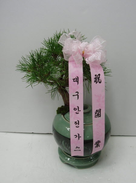 뱸